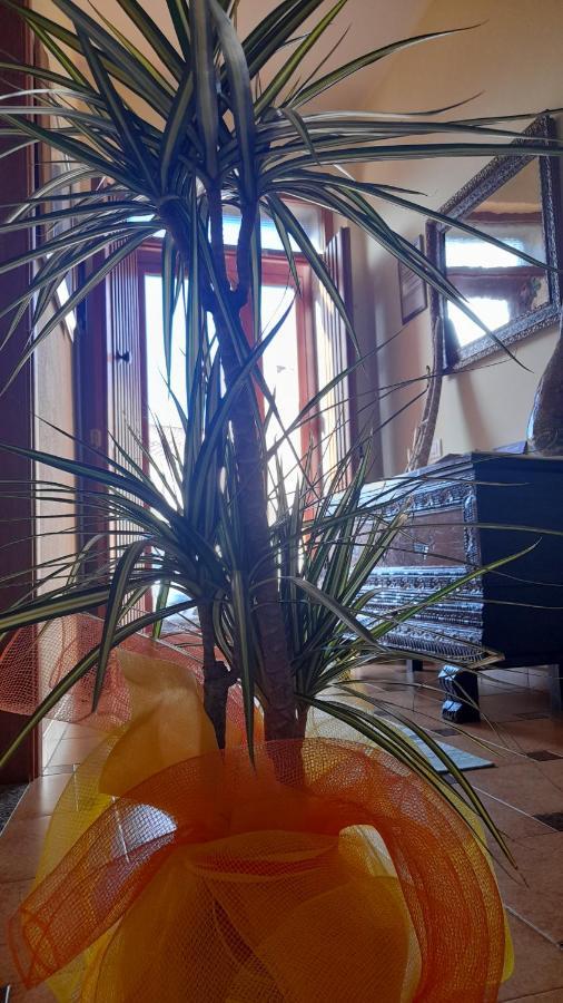 Su Fassoi Cabras Bed & Breakfast Luaran gambar