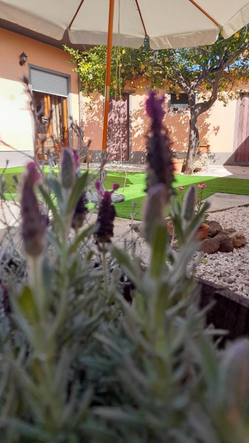 Su Fassoi Cabras Bed & Breakfast Luaran gambar