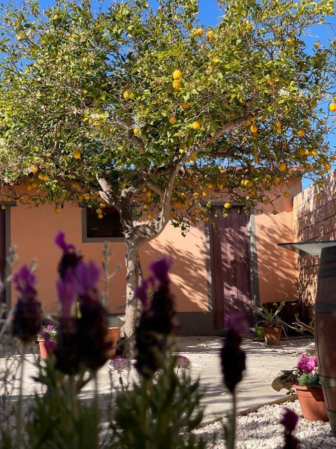 Su Fassoi Cabras Bed & Breakfast Luaran gambar