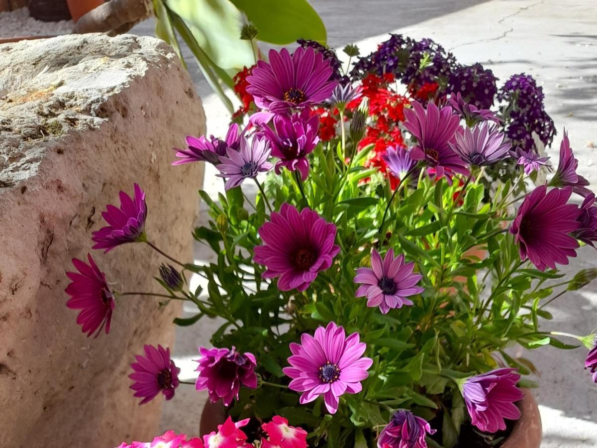Su Fassoi Cabras Bed & Breakfast Luaran gambar