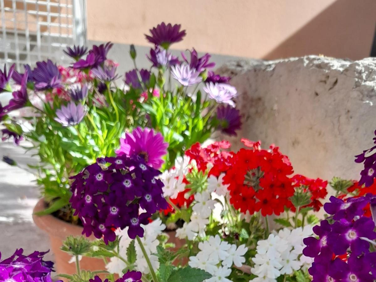 Su Fassoi Cabras Bed & Breakfast Luaran gambar