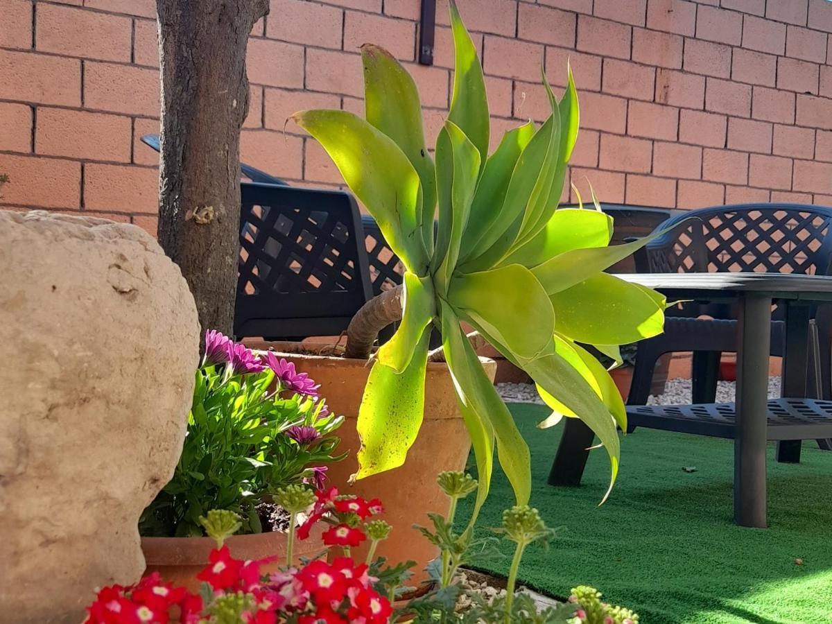 Su Fassoi Cabras Bed & Breakfast Luaran gambar